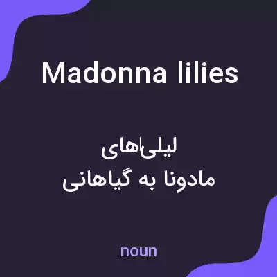 معنی madonna lilies به فارسی معنی madonna lilies به فارسی