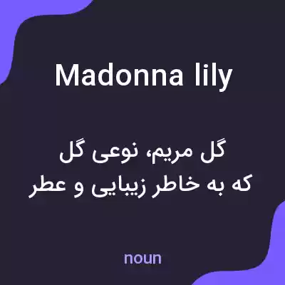 معنی madonna lily به فارسی معنی madonna lily به فارسی