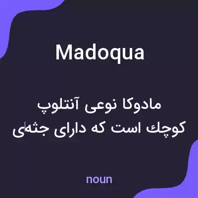 معنی madoqua به فارسی معنی madoqua به فارسی