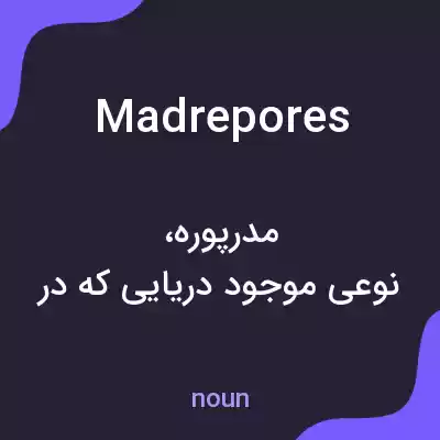 معنی madrepores به فارسی معنی madrepores به فارسی