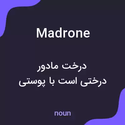 معنی madrone به فارسی معنی madrone به فارسی