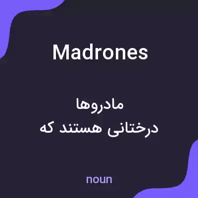 معنی madrones به فارسی معنی madrones به فارسی