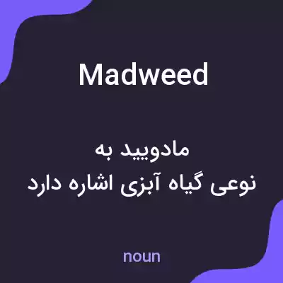معنی madweed به فارسی معنی madweed به فارسی