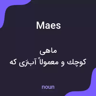 معنی maes به فارسی معنی maes به فارسی