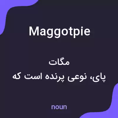 معنی maggotpie به فارسی معنی maggotpie به فارسی