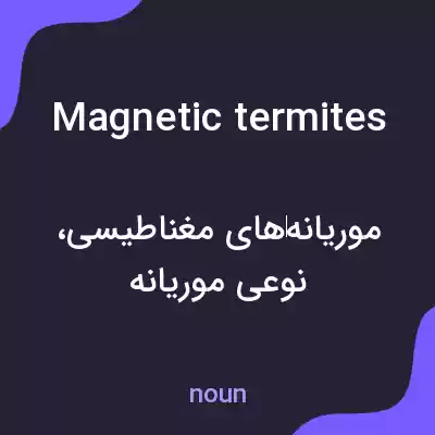 معنی magnetic termites به فارسی معنی magnetic termites به فارسی
