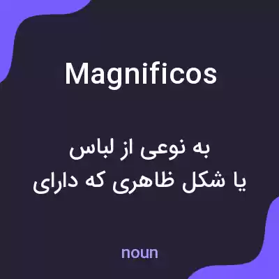 معنی magnificos به فارسی معنی magnificos به فارسی