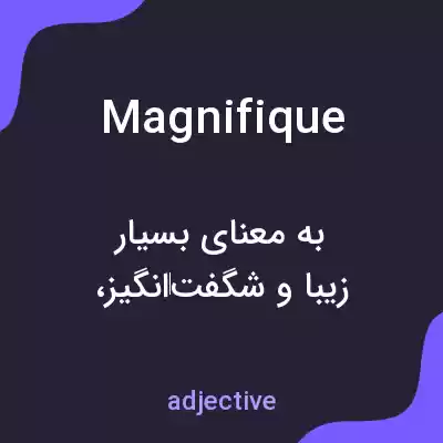 معنی magnifique به فارسی معنی magnifique به فارسی