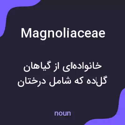 معنی magnoliaceae به فارسی معنی magnoliaceae به فارسی