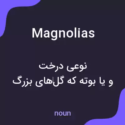 معنی magnolias به فارسی