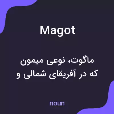 معنی magot به فارسی معنی magot به فارسی