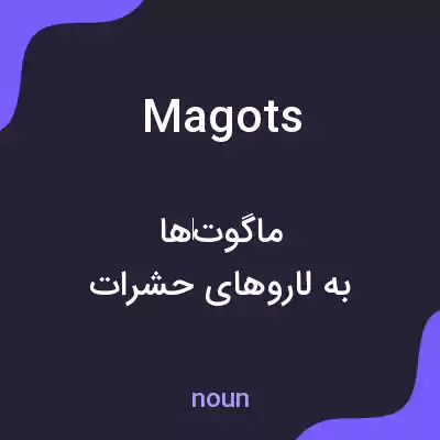 معنی magots به فارسی معنی magots به فارسی