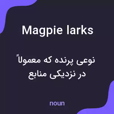معنی magpie larks به فارسی معنی magpie larks به فارسی