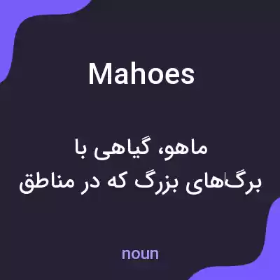 معنی mahoes به فارسی معنی mahoes به فارسی
