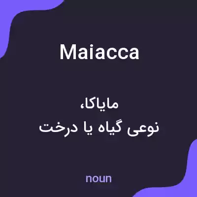 معنی maiacca به فارسی معنی maiacca به فارسی