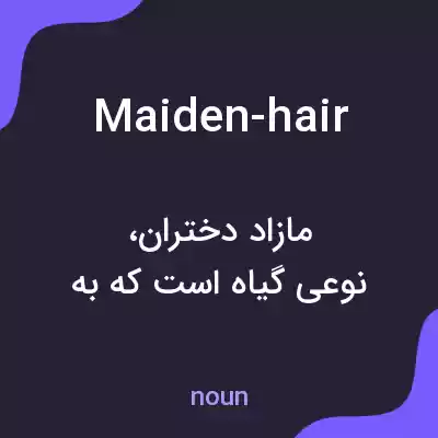 معنی maiden-hair به فارسی