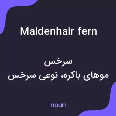 معنی maidenhair fern به فارسی معنی maidenhair fern به فارسی