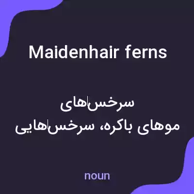 معنی maidenhair ferns به فارسی معنی maidenhair ferns به فارسی