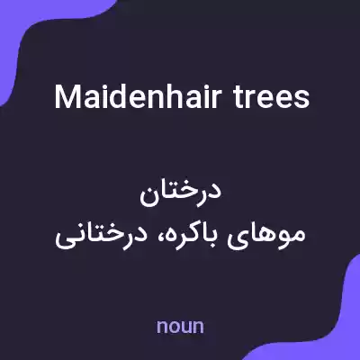 معنی maidenhair trees به فارسی معنی maidenhair trees به فارسی
