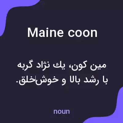 معنی maine coon به فارسی معنی maine coon به فارسی