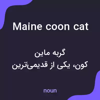 معنی maine coon cat به فارسی معنی maine coon cat به فارسی