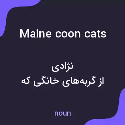 معنی maine coon cats به فارسی معنی maine coon cats به فارسی