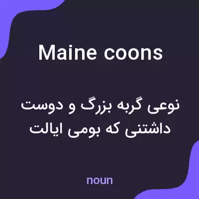 معنی maine coons به فارسی معنی maine coons به فارسی