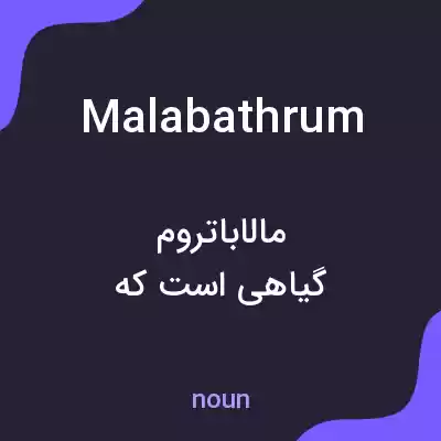 معنی malabathrum به فارسی معنی malabathrum به فارسی