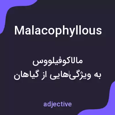 معنی malacophyllous به فارسی معنی malacophyllous به فارسی