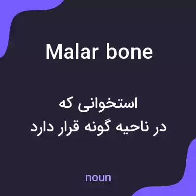 معنی malar bone به فارسی معنی malar bone به فارسی