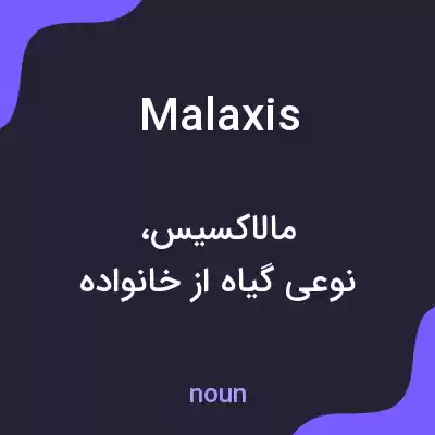 معنی malaxis به فارسی معنی malaxis به فارسی