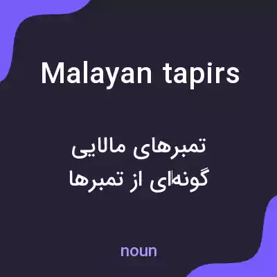 معنی malayan tapirs به فارسی معنی malayan tapirs به فارسی