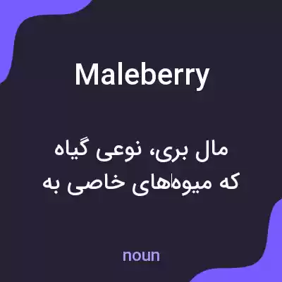 معنی maleberry به فارسی معنی maleberry به فارسی