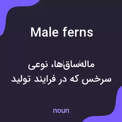 معنی male ferns به فارسی معنی male ferns به فارسی