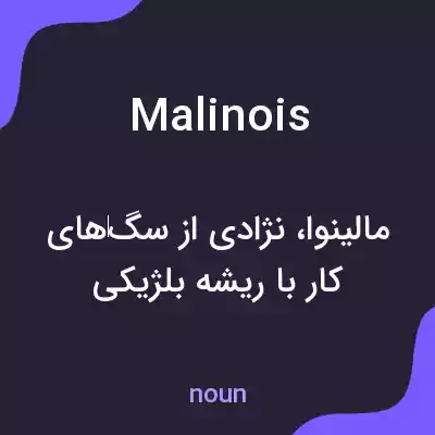 معنی malinois به فارسی معنی malinois به فارسی