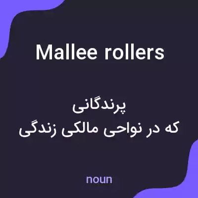 معنی mallee rollers به فارسی معنی mallee rollers به فارسی