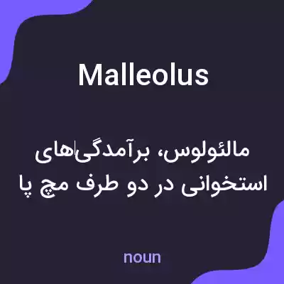 معنی malleolus به فارسی معنی malleolus به فارسی