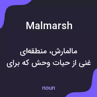 معنی malmarsh به فارسی معنی malmarsh به فارسی