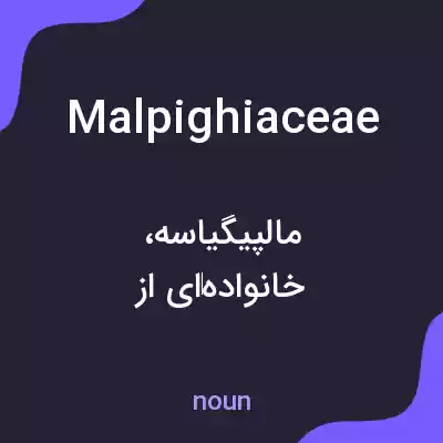 معنی malpighiaceae به فارسی معنی malpighiaceae به فارسی