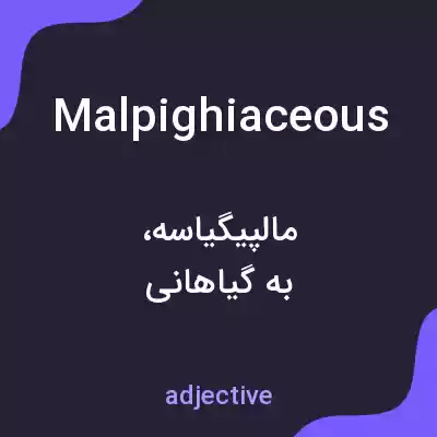 معنی malpighiaceous به فارسی معنی malpighiaceous به فارسی