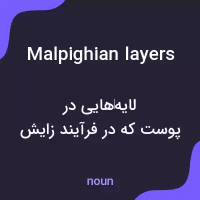 معنی malpighian layers به فارسی معنی malpighian layers به فارسی
