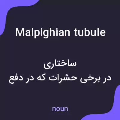 معنی malpighian tubule به فارسی