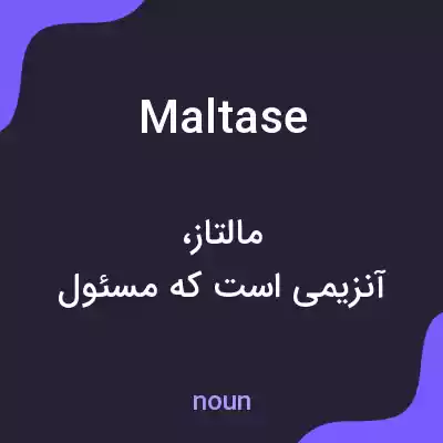 معنی maltase به فارسی معنی maltase به فارسی