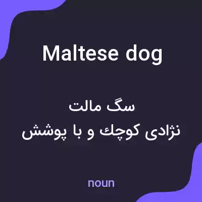 معنی maltese dog به فارسی معنی maltese dog به فارسی
