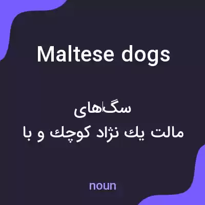 معنی maltese dogs به فارسی معنی maltese dogs به فارسی