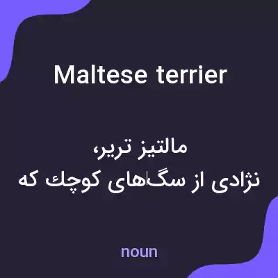 معنی maltese terrier به فارسی معنی maltese terrier به فارسی