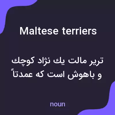معنی maltese terriers به فارسی معنی maltese terriers به فارسی