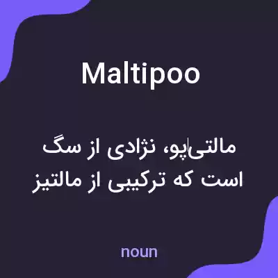 معنی maltipoo به فارسی معنی maltipoo به فارسی