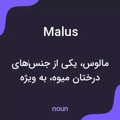 معنی malus به فارسی معنی malus به فارسی