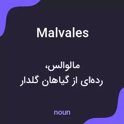 معنی malvales به فارسی معنی malvales به فارسی